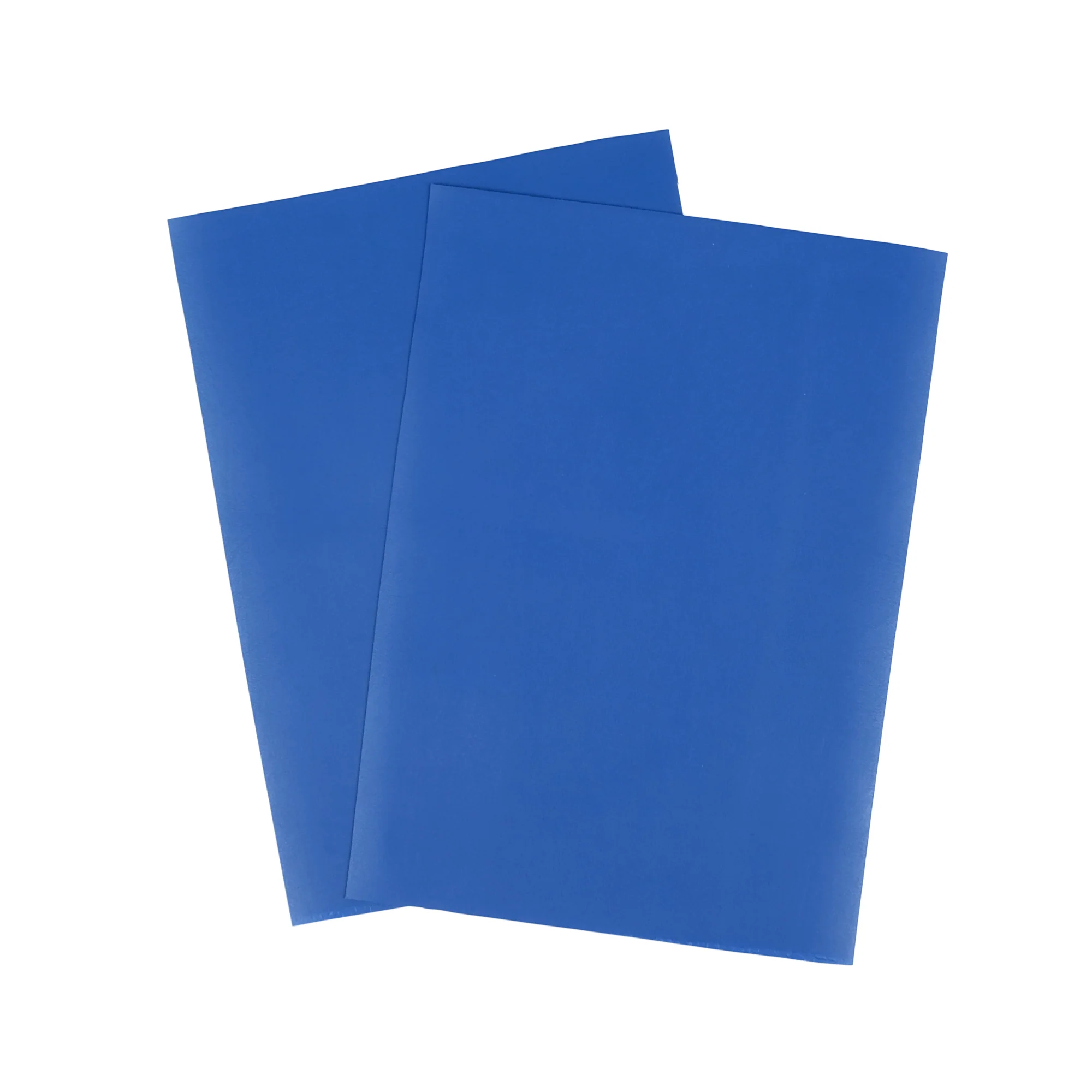 Kaktusleder Blau (Neu) - Image 3