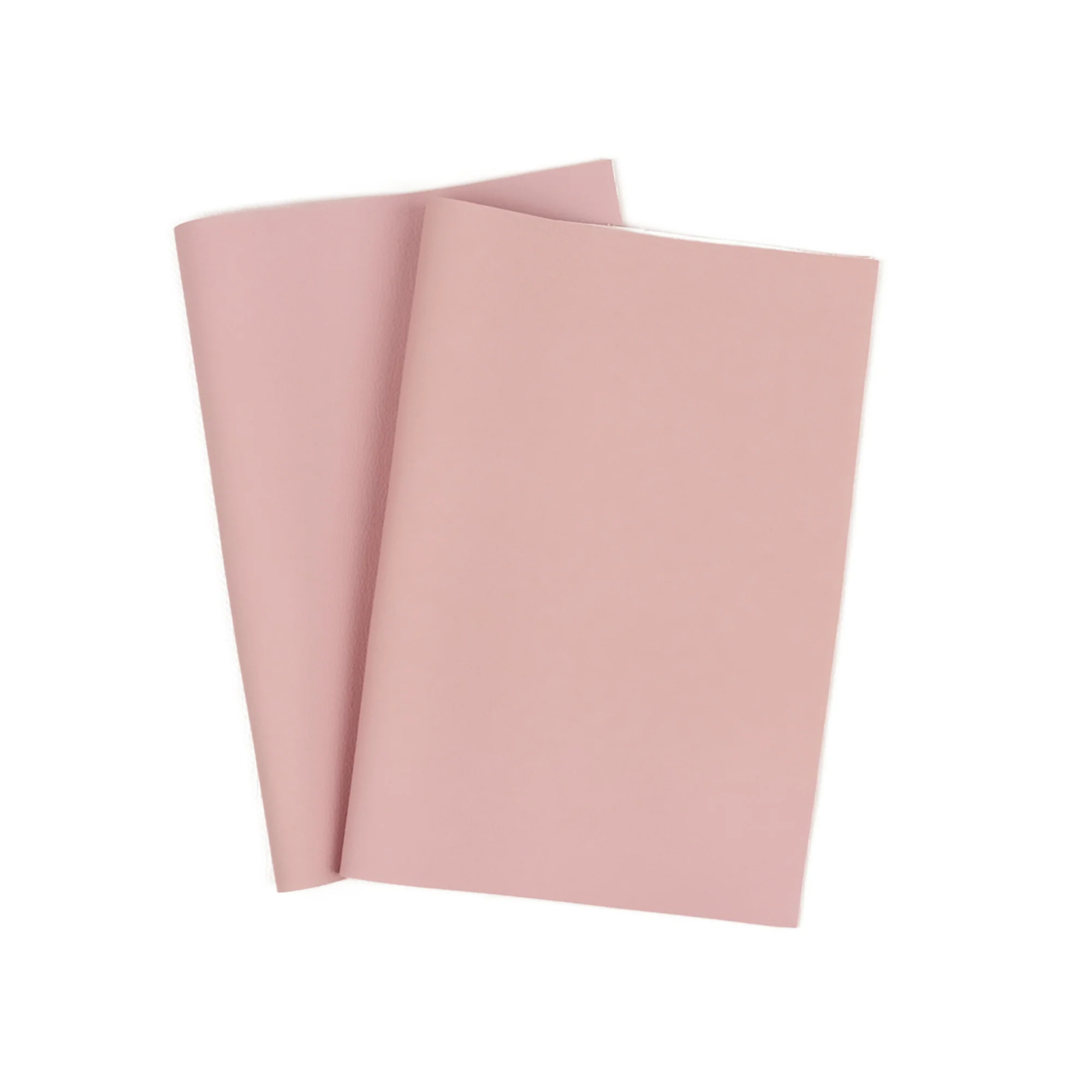 Kaktusleder | Korkleder | Ananasleder | Traubenleder