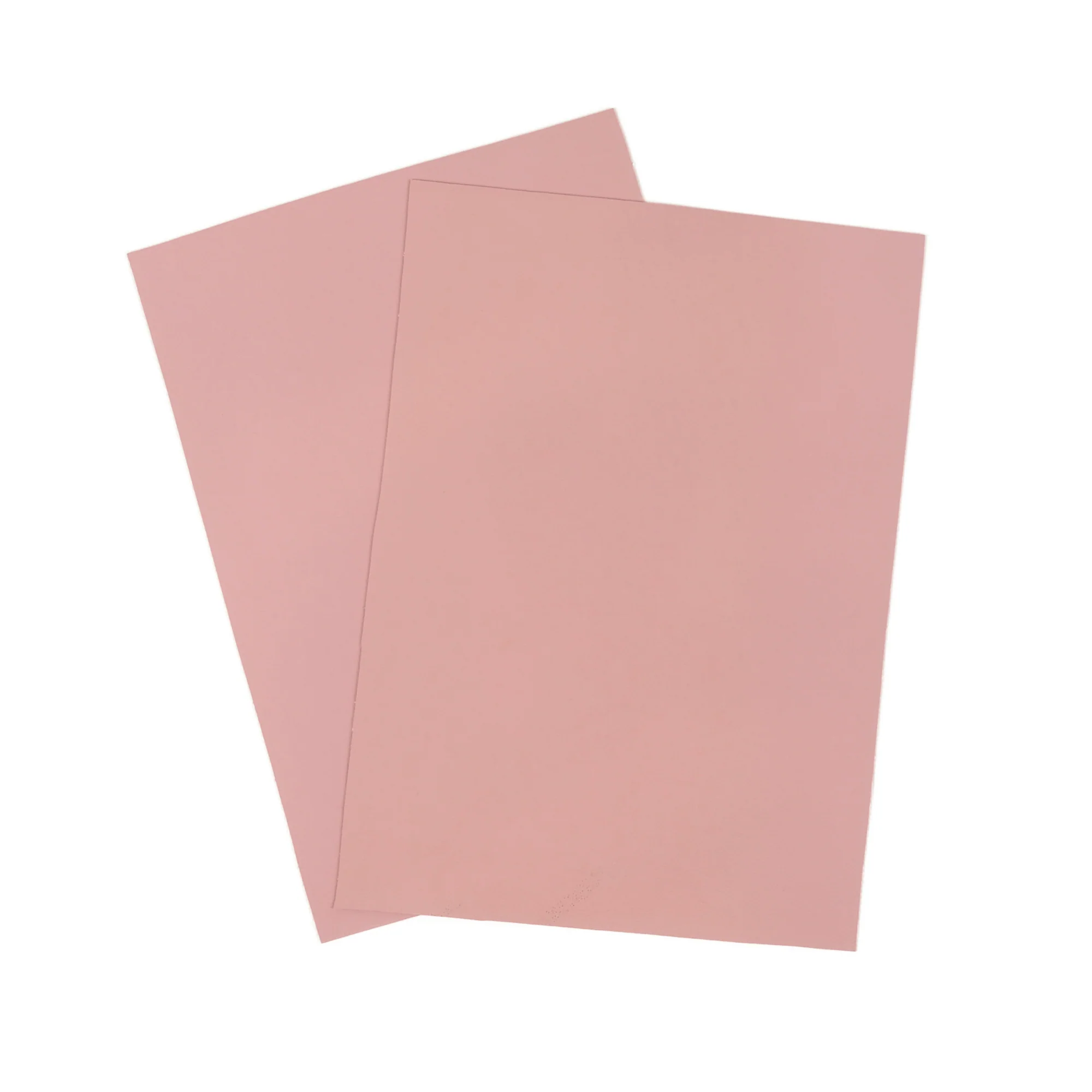 Kaktusleder Helllila (Neu) - Image 3