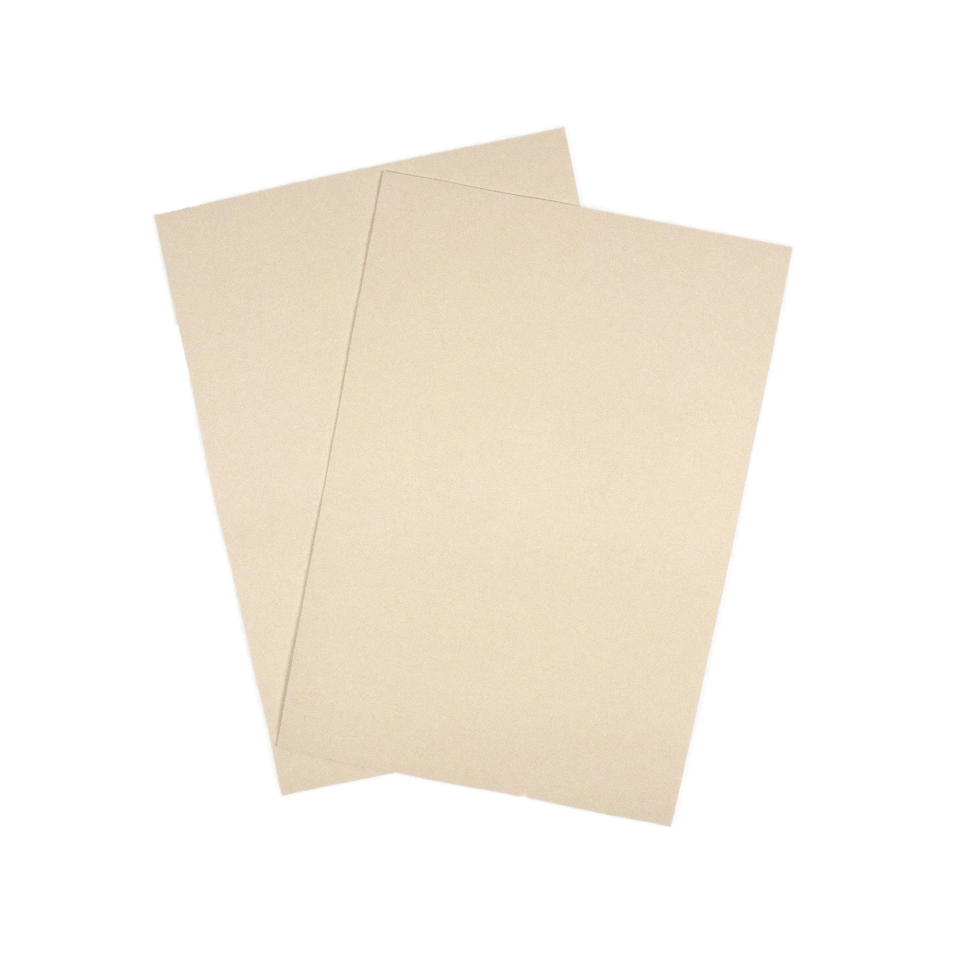 Kaktusleder Mittelfest Weiss Muster - Image 3