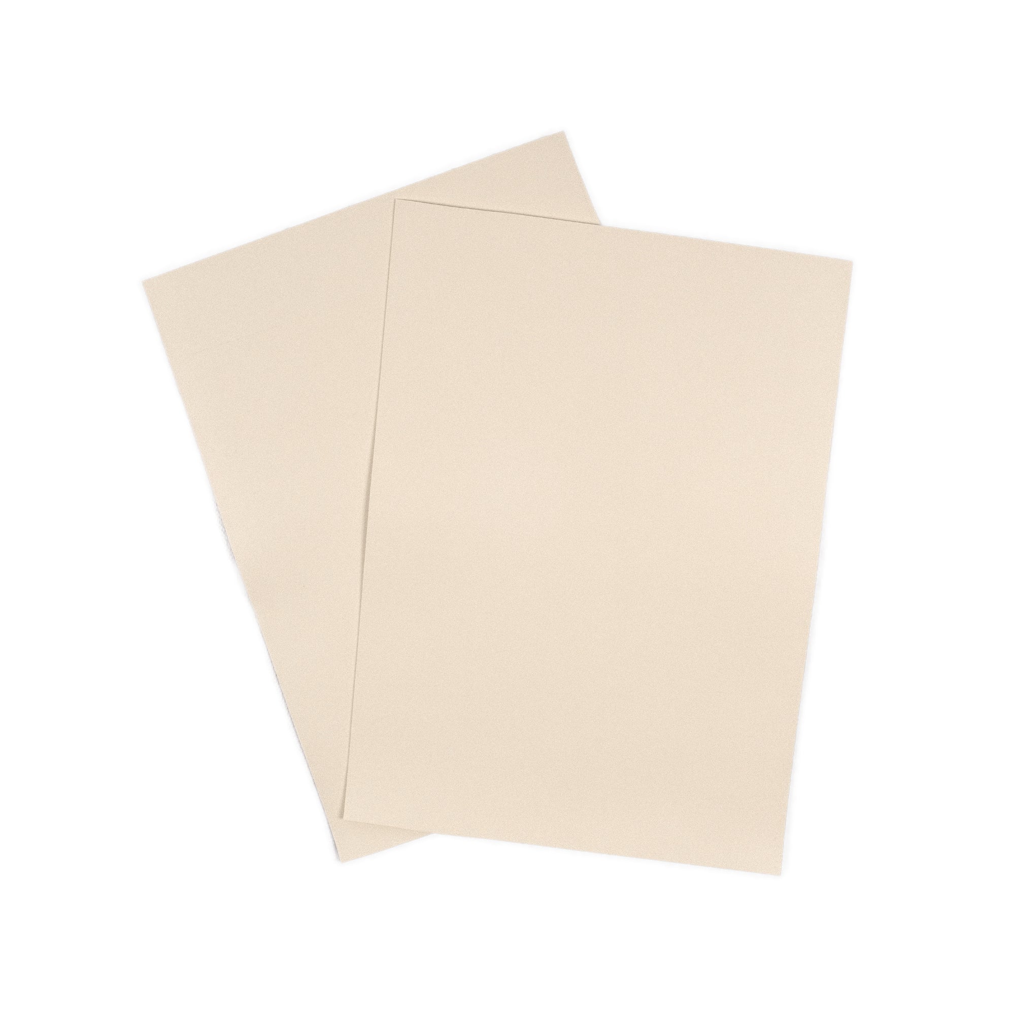 Kaktusleder Fest Weiss - Image 3